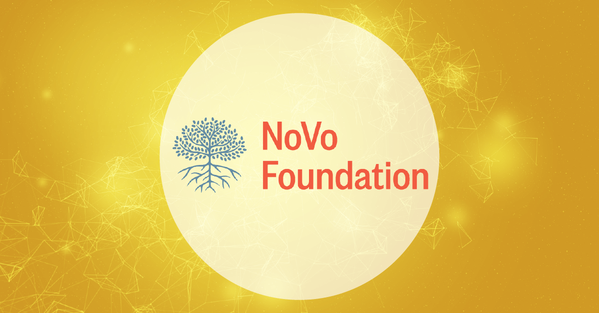 Novo foundation logo