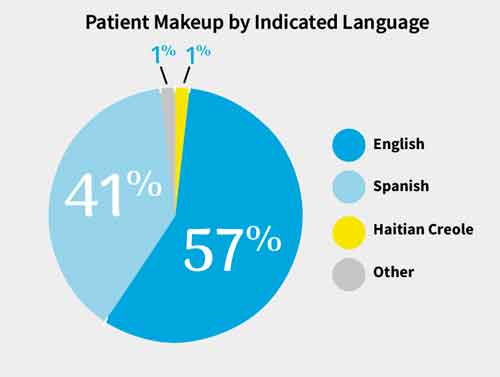 patient makeup by indicated language